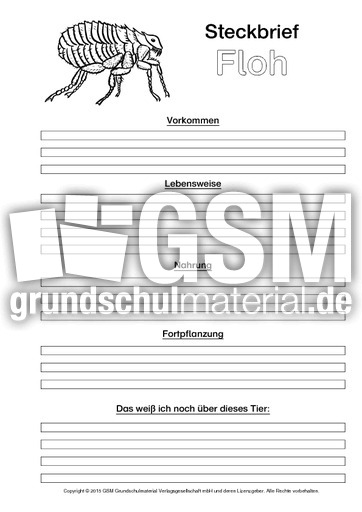 Floh-Steckbriefvorlage-sw.pdf